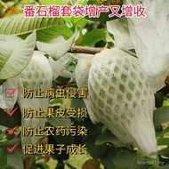 Guava Insect Net Protection Packaging Bag Net Cover Guava Foam Dedicated Insect Net Protection Packa