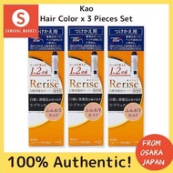 Kao Rerise Hair Color Server for Gray Hair Re-Black Fluffy Finish Replacement (190g) x 3 Pieces Hair Dye Unscented-YO2303花王 Relize 白发染发器  重新黑色蓬松饰面更换  (190g) x 3支染发香精-YO2303