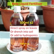 Liquid Kelp Fertiliser Seaweed Organic Fertilizer [2 X500ML] (fr SG)