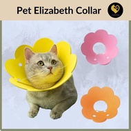 Cat Sunflower Cone Elizabeth Collar Neck Collar Kucing Sakit Cute Kitten E Coller Koller Leher Kucin