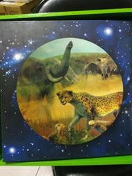 教育童趣 英語學習 動物星球 動物百科大探索 中英雙語 精美繪本故事書8本 無點讀筆 2015年版