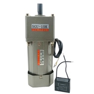 AC 220V 140W 2.25rpm - 90rpm Low Speed Single Phase Gear Motor, Fixed / Constant Speed Motor With Ge
