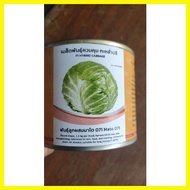 ♝ ✴ ◸ IN & CO F1 HYBRID WONDERBALL CABBAGE SEED 100 g