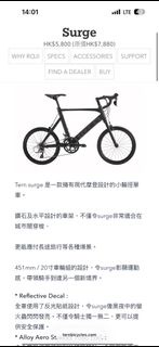 Tern Surge 小輪徑單車 20吋 451mm