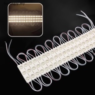 [T&B] 20pcs DC12V SMD 3 LED Module Injection Waterproof IP67 Decorative 2835 Hard Strip Bar Light La