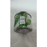 SWEET PEA 3 WICK CANDLE