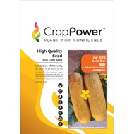Benih Timun Tua OC575 Gold Bar F1 Hybrid Old Cucumber Crop Power - (  1000 seeds ) 👍 💯