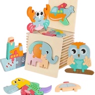 Combo of 3 embossed wooden puzzles, 3D puzzles with educational themes for children