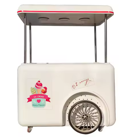 Electric Pedal Assist Ice Cream Bike With Fridge Freezer Mobile Gelato Cart Vending Tricycle Customi