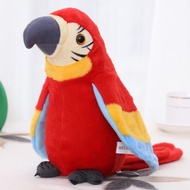 นกแก้ว นกพูดได้ Talking parrot ตุ๊กตานกแก้วพูดได้ ตุ๊กตาพูดได้ นกแก้วพูดได้ ของเล่นเด็กอัดเสียง ของเล่นตุ๊กตา พูดได้ทุกภาษา ของเล่นตลก COD