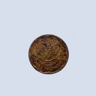 uang koin kuno indonesia 500 melati