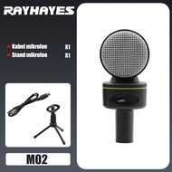 RAYHAYES Mic Condenser Microphone Live Microphone Recording Streaming Podcast PC