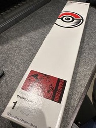 Ptcg playmat 噴火龍