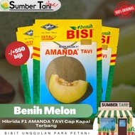 Benih Melon F1 AMANDA TAVI 550 Butir Cap Kapal Terbang READY!!!