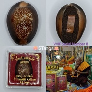 Thai Amulet 泰国佛牌 : 挡降贝 Bia Gae BE2562 by Luang Phor Saen Wat Ban Nong Jit