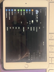 iPad Mini 5 LTE
