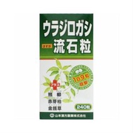 ウラジロガシ流石粒 240粒 【定形外郵便発送】