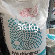 pupuk npk 50 kg mutiara