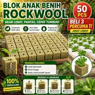 Rockwool Blok Anak Benih | 岩棉育苗块 | Rockwool Seedling Starter Block 50pcs | Media Tanam Hidroponik