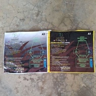 PATI BAJA AB THAI @TPF 1LITER A+1 LITER B