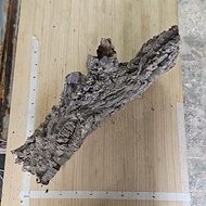 Cork Bark Tube (Large) 软木树皮筒(大)