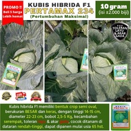 [Beli 5 Lebih Hemat] Benih Kubis Jumbo Pertamax 234 (Pertumbuhan Maksimal) kemasan 10 gram (+-2000 b