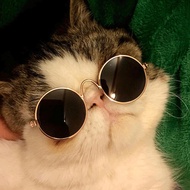 Pet Glasses Cat Sunglasses Uv Glasses For Pets Fashion Accessories Protective Eyewear R0w8