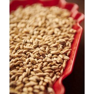 Weyermann- Vienna Malt (100 grams / bag)