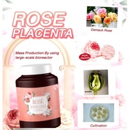 STEM CELL 500mg-  Rose Placenta Extract/Sheep Placenta Extract- 30 capsule