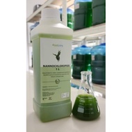 Algae Living ALNO Fresh Nannochloropsis Oculata for Rotifer Daphnia FishFry Shrimp Coral/Air Hijau K