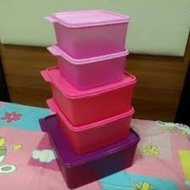 Tupperware Basic line level set