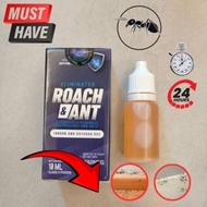 UBAT LIPAS DAN SEMUT KERENGGA ROACH BUSTER ORIGINAL