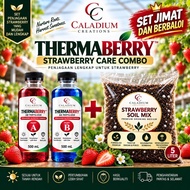 Strawberry Care Combo | Baja AB Thermaberry Set 1L + Strawberry Soil Mix 5L | Set Penjagaan Strawber