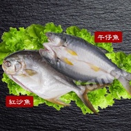 【賣魚的家】鮮嫩午仔魚/紅沙魚任選4尾組