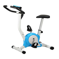 Stationary Bike (White/Blue)