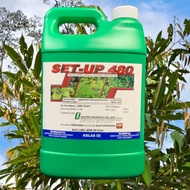 [ORIGINAL] 4L SET-UP 480 GLYPHOSATE 41% RACUN RUMPUT LALANG/RACUN RUMPAI SERUPA ROUNDUP/HERBICIDE/IM