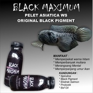 pelet black maximum pelet asiatica ws pelet ikan channa pakan ikan channa predator
