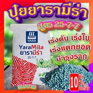 ปุ๋ยยารามีร่า 🌺 สูตร 25-7-7 (ขนาด 10 กิโล) ปุ๋ยเร่งต้น ปุ๋ยเร่งใบ เร่งเขียว เร่งการแตกยอด รากเเข็งเเ