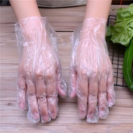100 pcs Disposable Plastic Gloves B52