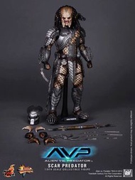 Hottoys Hot Toys MMS190 Alien vs Predator 異型 鐵血戰士 異獸戰 Scar Predator Figure