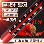 [in stock] Magic Lamp Arowana Light Red Arowana Professional Grade Dual-Purpose Waterproof Light Par