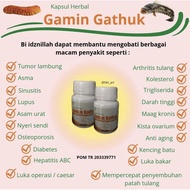 GAMIN GATHUK