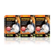 Exoterra Intense Basking Spot 25W/50W/75W