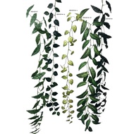 Artificial Polka Dot Begonia Vine – 170cm Faux Garland Plant Afoil216