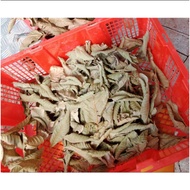 500 grams of Dried Guava Leaves/250 grams Natural Dried Guava Leaves