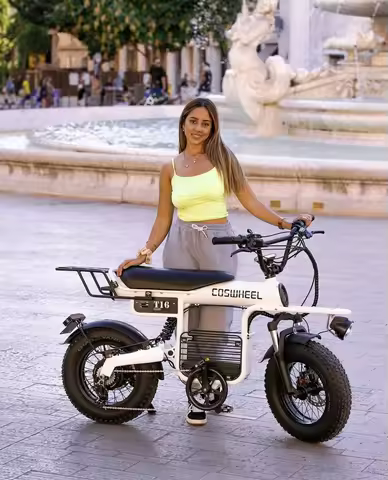 Coswheel Electric Bike Adult Road Ebike T16 Mountain Ebikes Urban Commuting Electric Bike 48V 20AH O