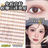【Shipment Within 24 Hours‌】 Mlen Diary Eyelash 120 Clusters Glue Free Easy To Use Brown Fish Tail Fa
