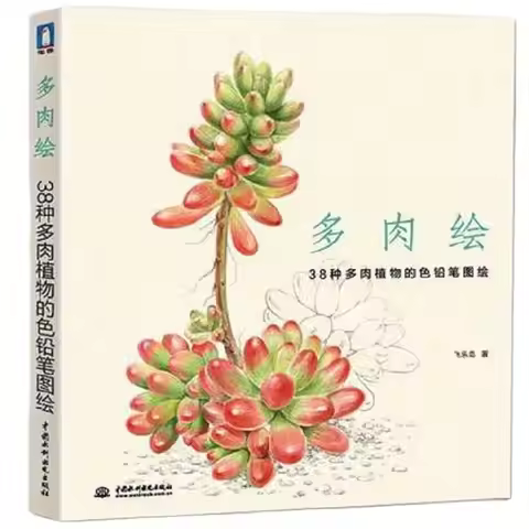 Chinese pencil drawing book 38 kinds of Succulent Plants painting color pencil drawing art book Tuto