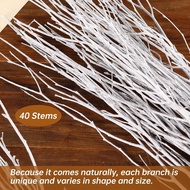 40Pcs Real Dried Birch Twigs - 17" White Decorative Birch Branches for Vase, Centerpiece, Wedding De