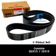 V Ribbed Belt QSX15 / ISX15 Cummins Diesel Engine - 3681636